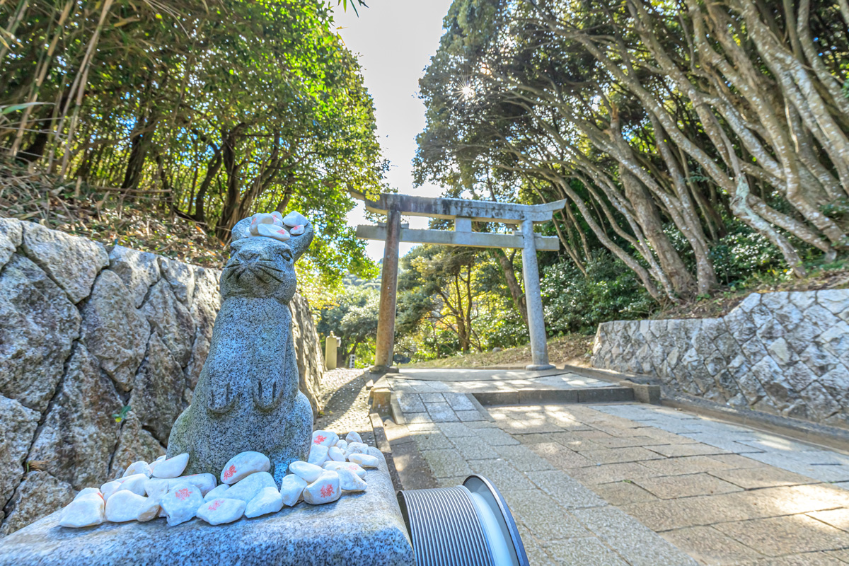 京都国立博物館所蔵の国宝、太刀 銘 安家