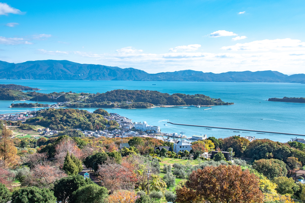 鎌倉時代の作といわれる国宝「無銘 則房」とは