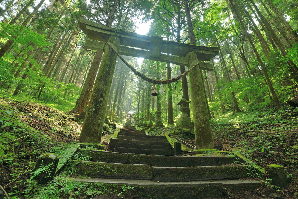 国宝の刀剣「太刀 銘 熊野三所権現長光」とは